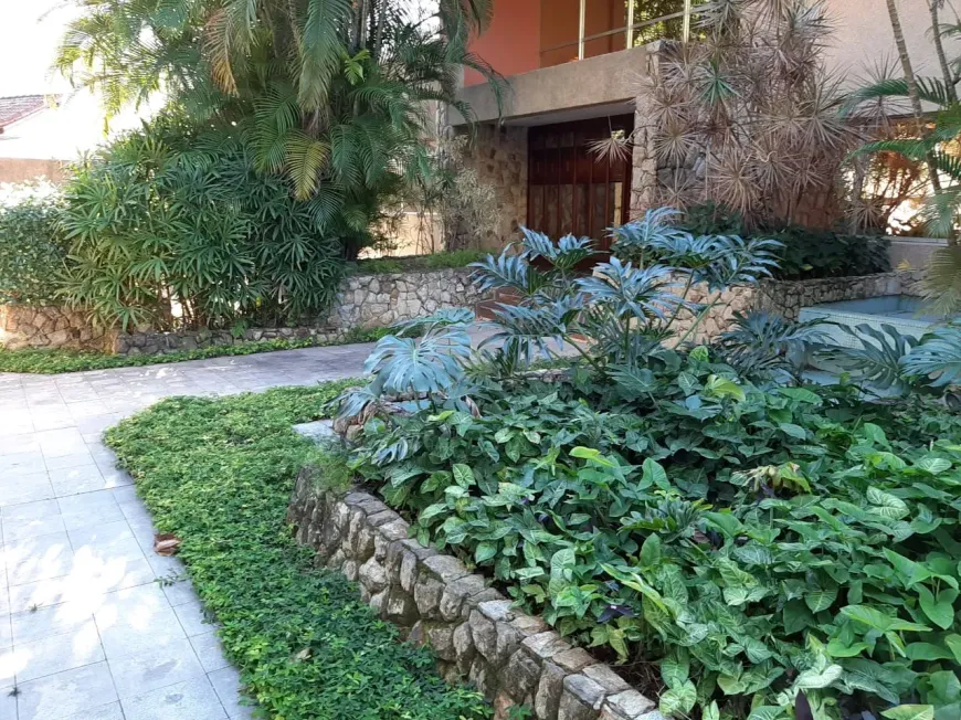 Foto 53